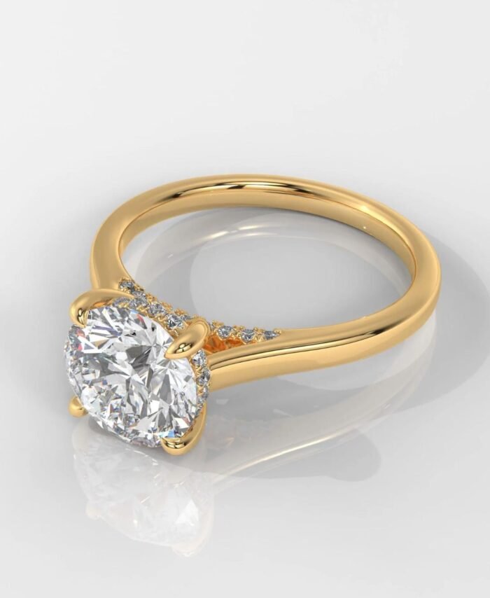 Round Cut Hidden Halo Engagement Ring