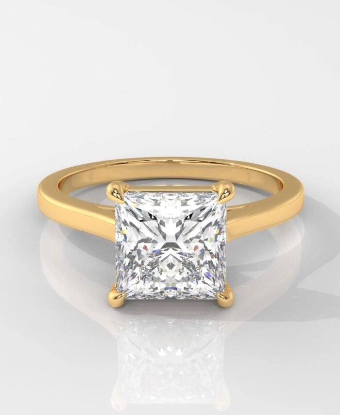 Princess Cut Lab Diamond Engagement Ring